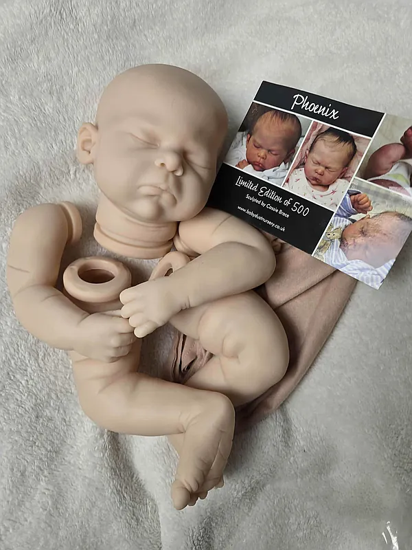 Reborn Dolls and Lifelike Baby Dolls