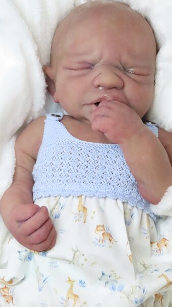 Primrose Silicone Reborn Baby Doll by Samantha Ewan | Samantha's