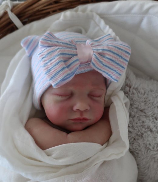 cat creations reborns