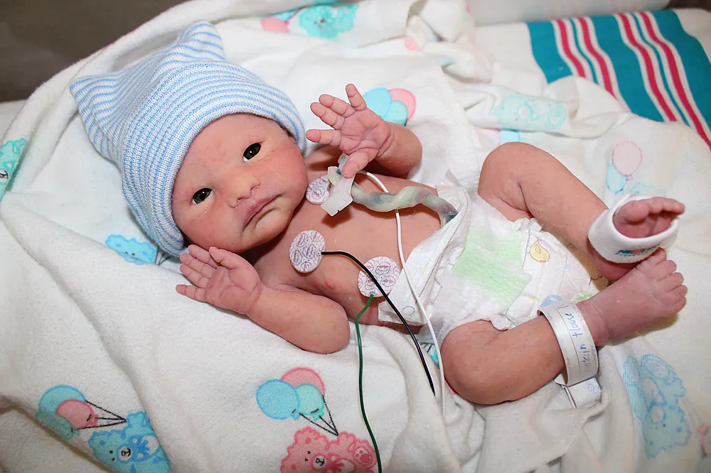 by yuritzi cardenas from Mountain House Nursery on Reborns