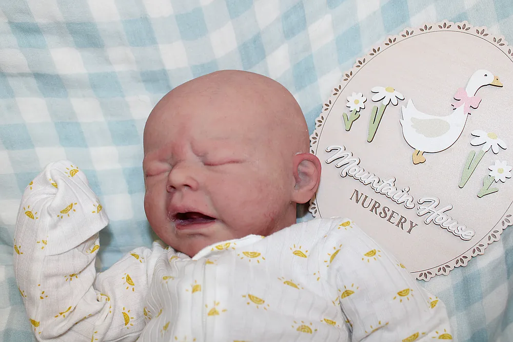 Hazel2.0 by yuritzi cardenas from Mountain House Nursery on Reborns