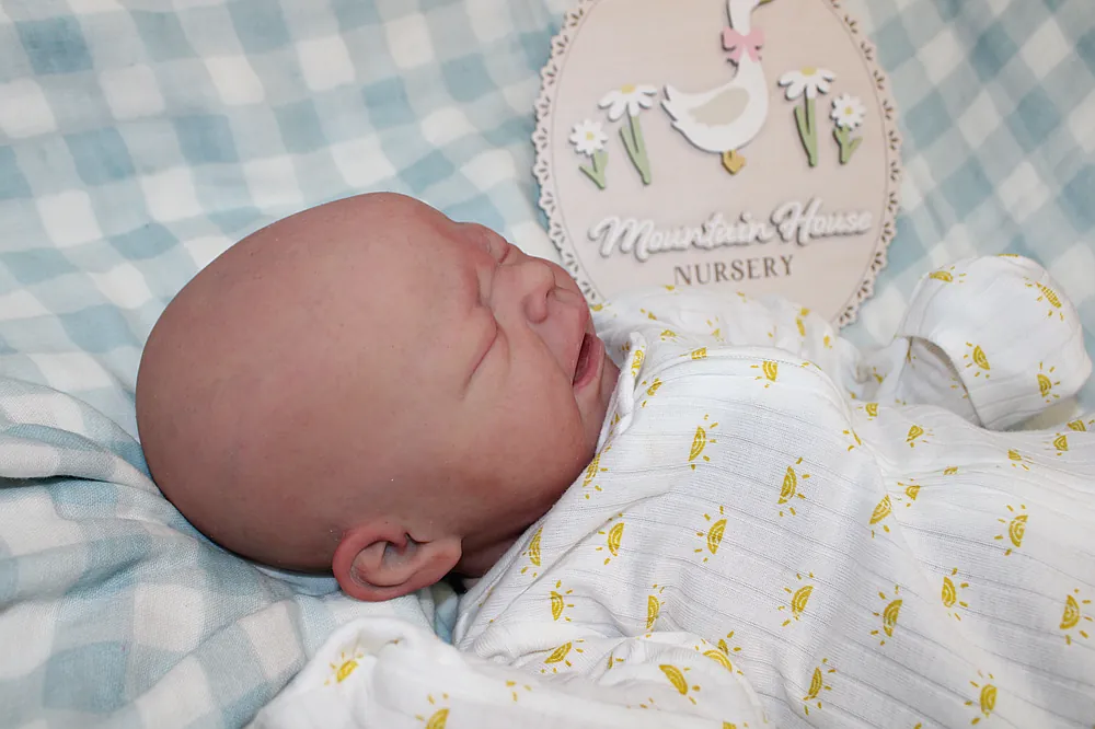 Hazel2.0 by yuritzi cardenas from Mountain House Nursery on Reborns