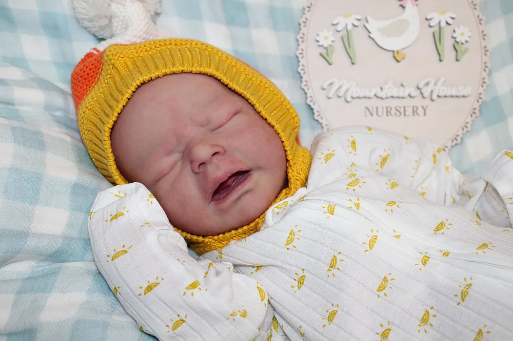 Hazel2.0 by yuritzi cardenas from Mountain House Nursery on Reborns