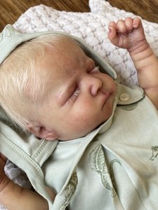 reborn dolls for sale