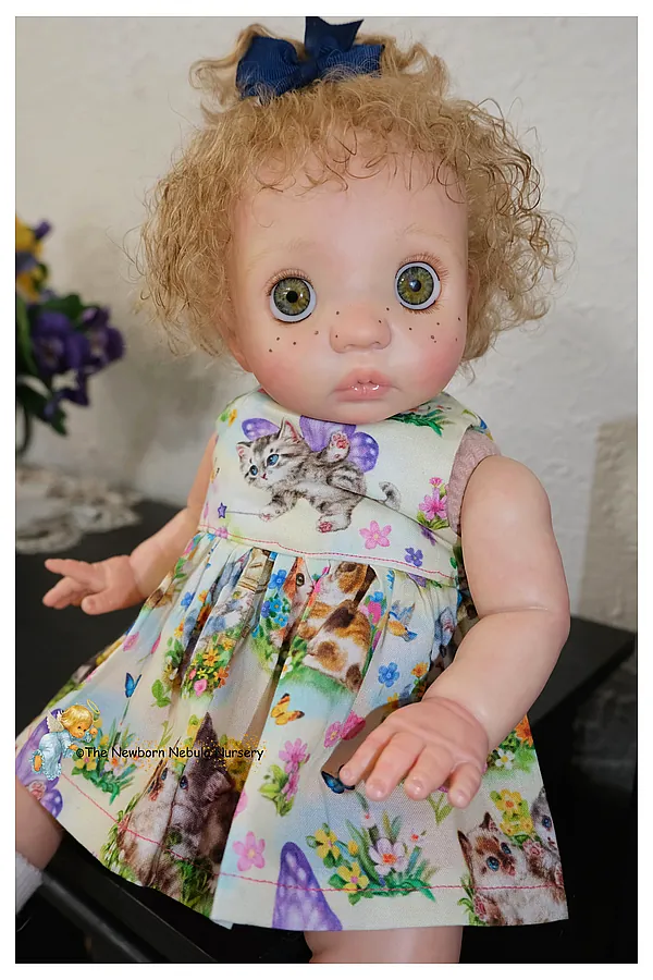 Reborn Dolls and Lifelike Baby Dolls