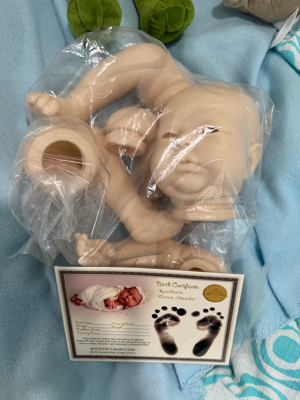 Tessa Reborn Doll Kit by Evelyn Dollies | Reborn Babies To Love 4 Ever