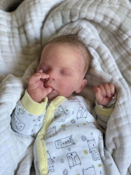 Valentino Silicone Reborn Baby Doll by Laura Tuzio Ross