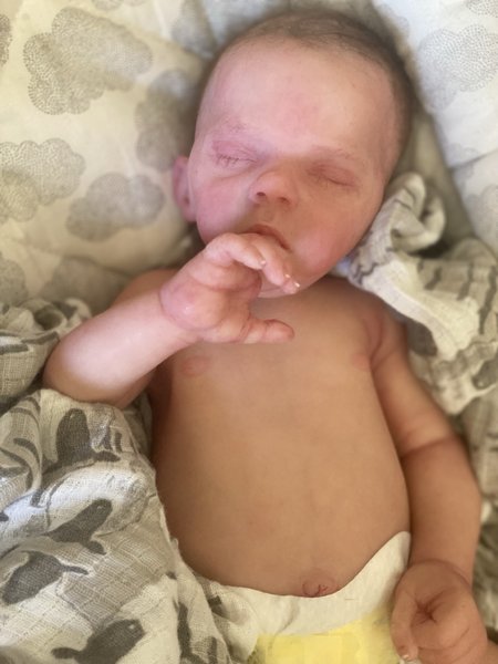 Valentino Silicone Reborn Baby Doll by Laura Tuzio Ross