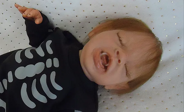 Reborn Dolls and Lifelike Baby Dolls