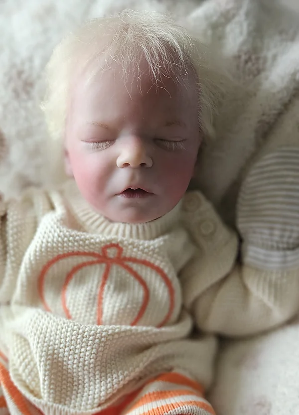 Reborn Dolls and Lifelike Baby Dolls