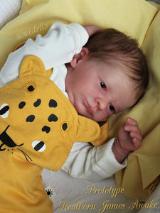 wee wonder nursery reborns