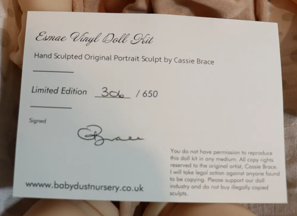Esmae Brace Love Reborn Doll Kit by Stacy A Osborne | My Reborn