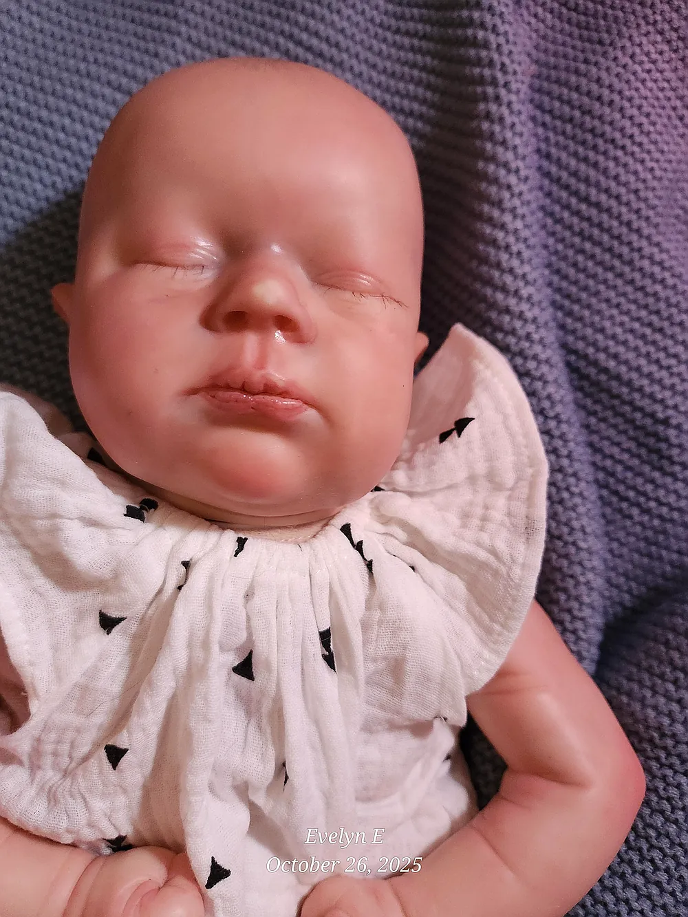Storks Storybook by from Stork Storybook Nursery on Reborns