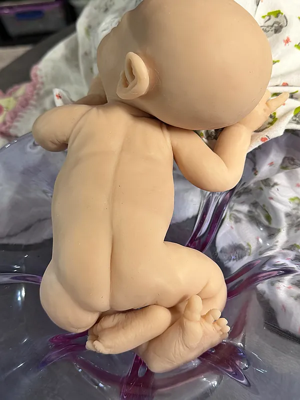 Reborn Dolls and Lifelike Baby Dolls