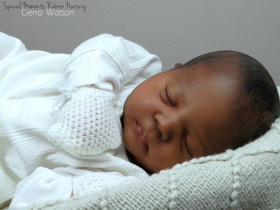 special moments reborn nursery