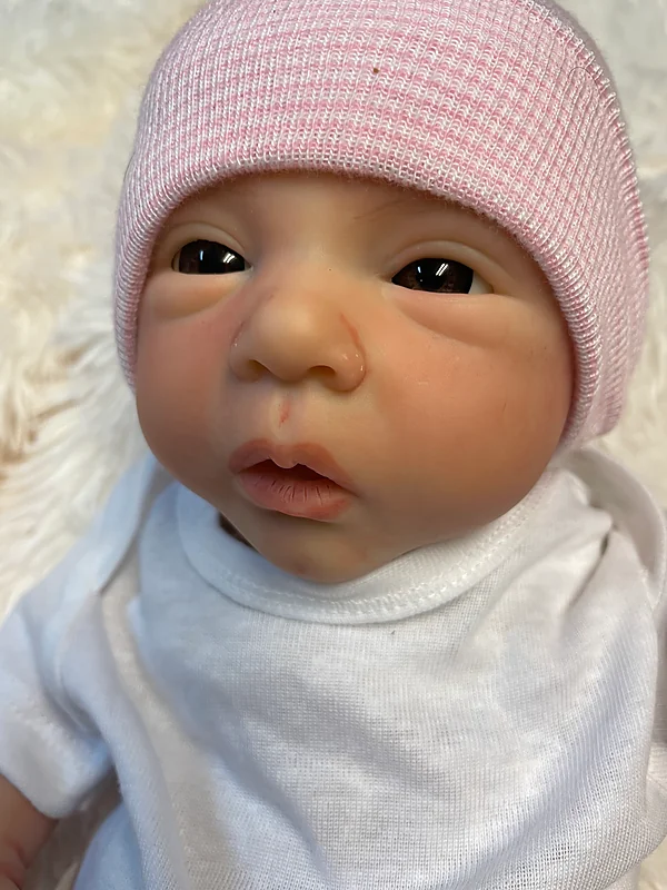 Reborn Dolls and Lifelike Baby Dolls