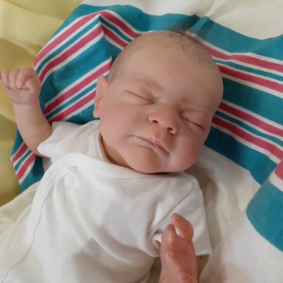 by Robin Coffin from Stardust Nursery Reborn Dolls on Reborns