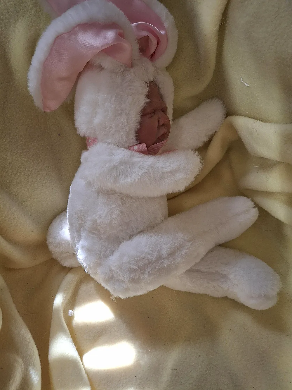 Unknown cuddle rabbit/bunny reborn doll by Robin Coffin | Stardust ...