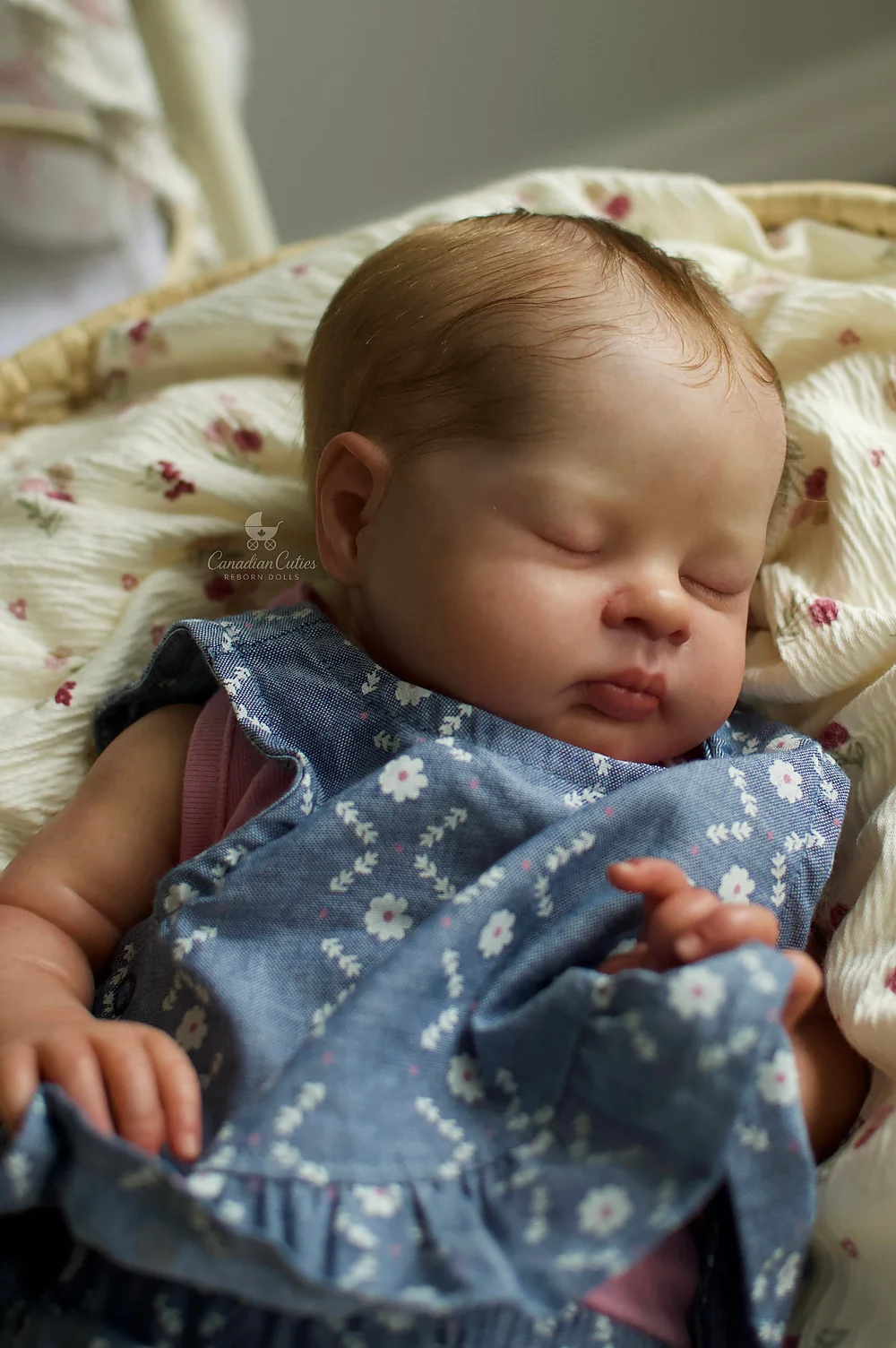 Esenia Reborn Baby Doll by Emily Dawson | Canadian Cuties Reborn Dolls
