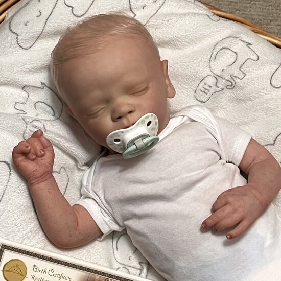 Earthy Baby Nursery Reborns and Reborn Baby Dolls