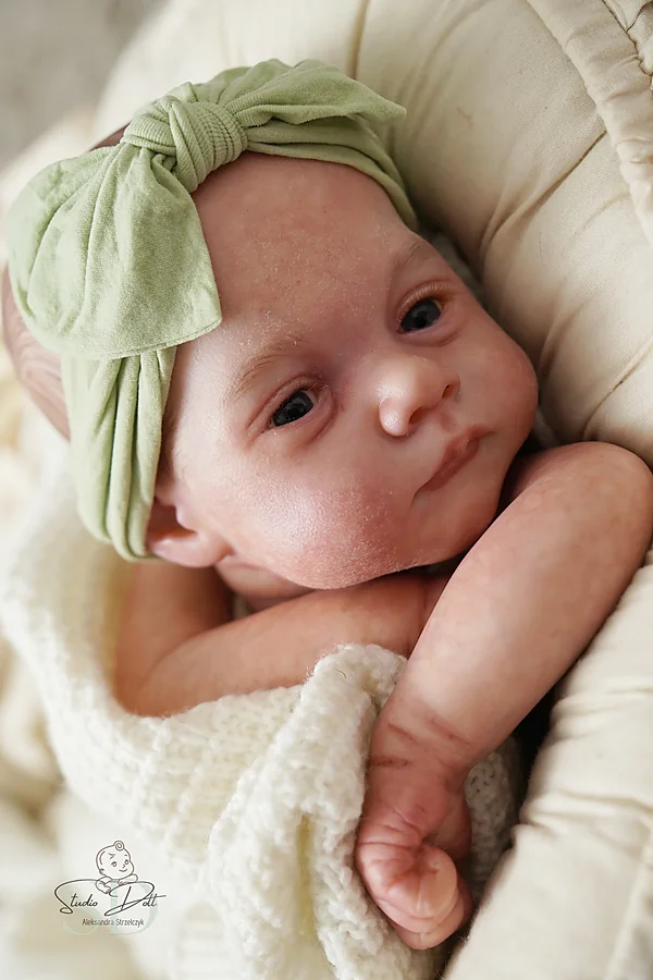 Reborn Dolls and Lifelike Baby Dolls