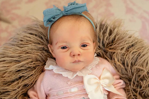 Reborn Dolls and Lifelike Baby Dolls