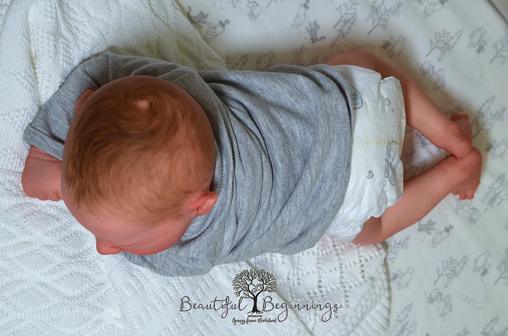 baby sleeping on bownsor (2020 原画) Jaxson by Andrea Porco from Sprung from Neverland Reborns on