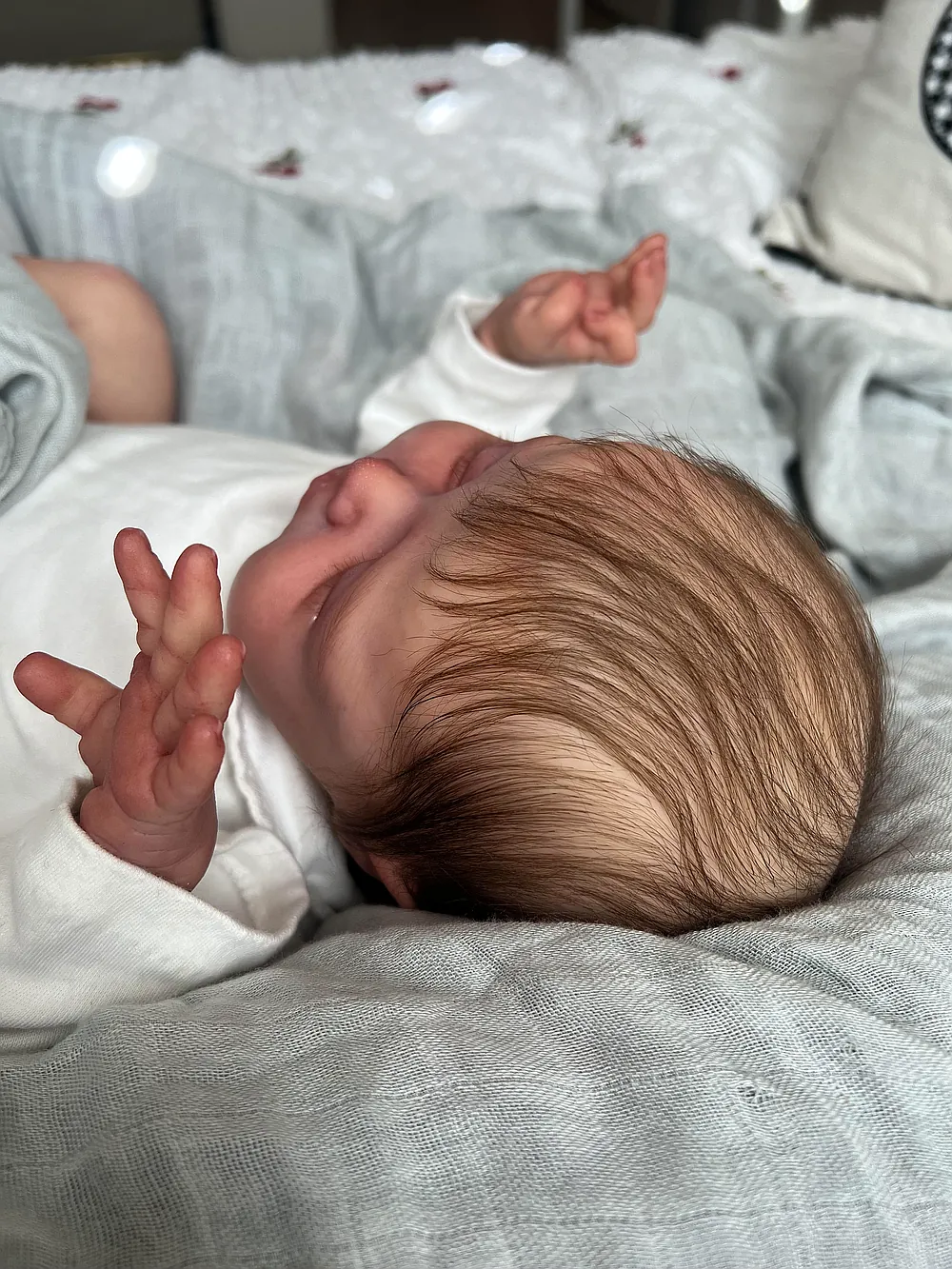 Christopher - Length	19½ view 4