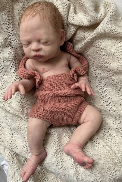  Silicone Babies EU - Reborns and Reborn Baby Dolls Bildidee 