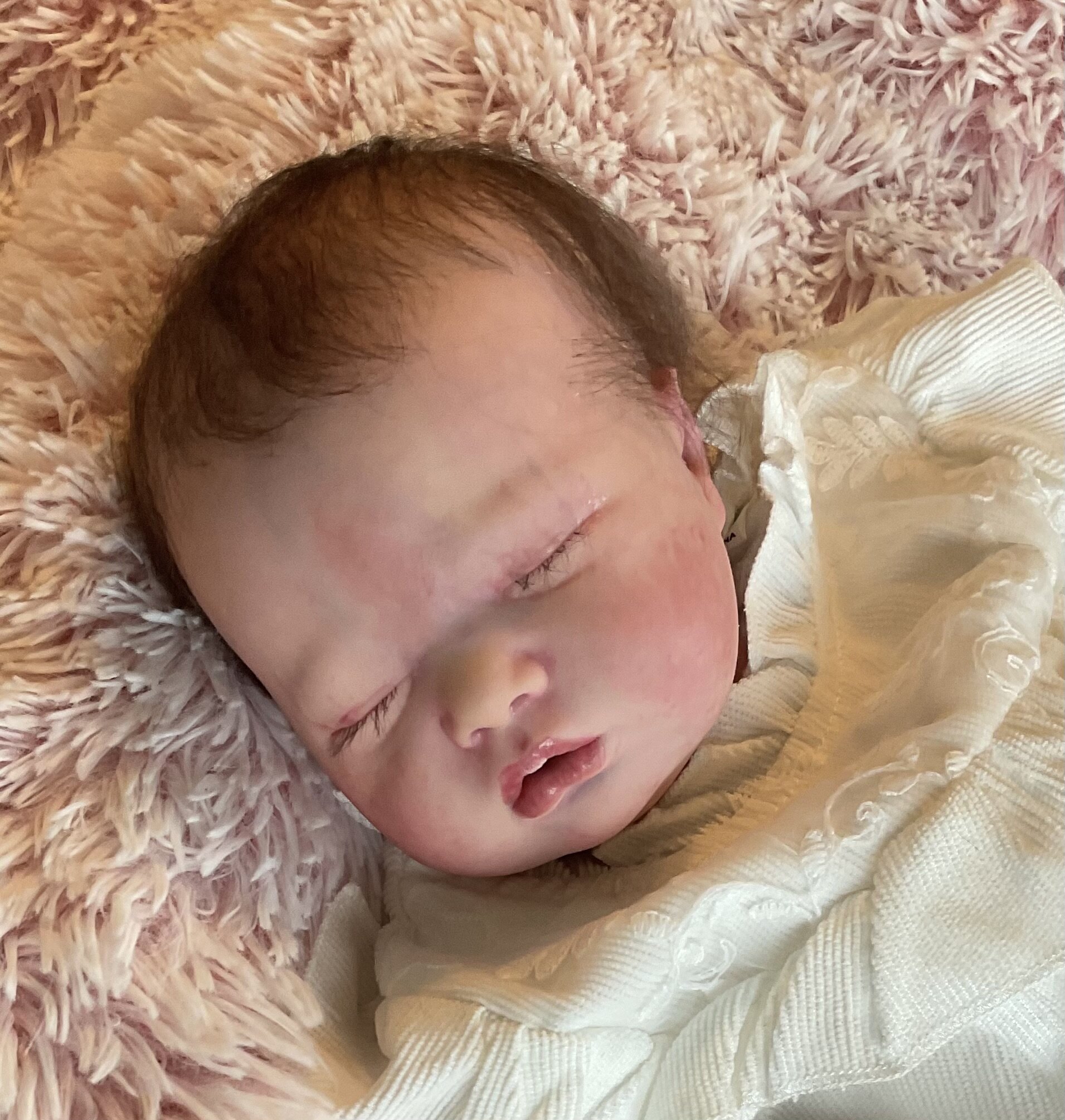 shannon-by-joanne-friedrich-from-tiny-owl-nursery-on-reborns