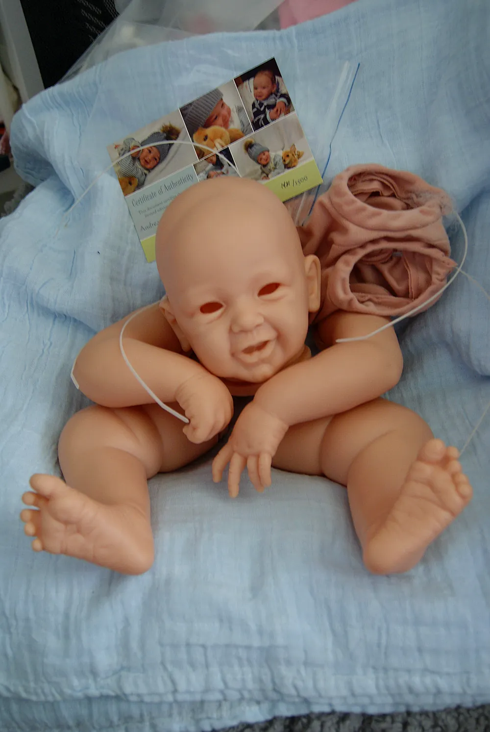 PHOENIX SOLDOUT by Mima Dolls from Precious Babies