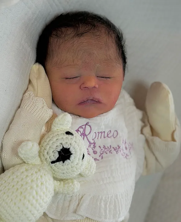 Reborn Dolls and Lifelike Baby Dolls