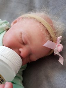 reborn dolls for sale