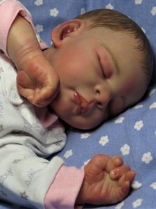 forever reborn nursery