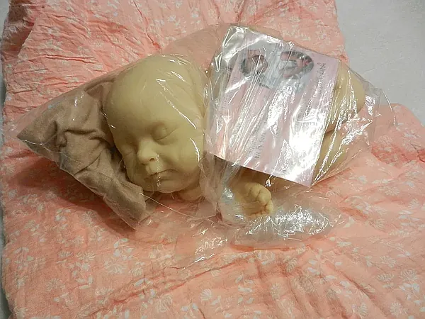 Leandre Pre-owned Reborn Baby Doll by Lhing Reborn Nursery | Sweet