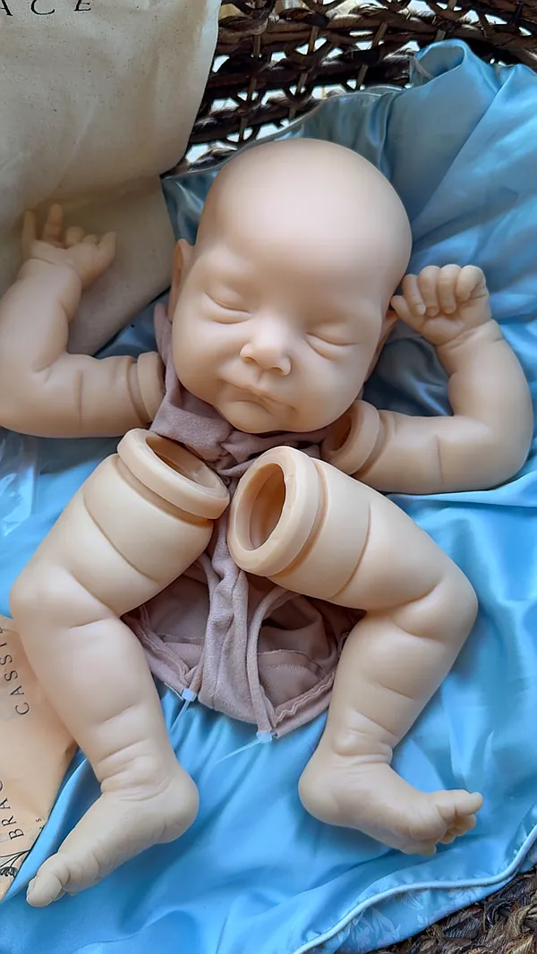 Leandre Pre-owned Reborn Baby Doll by Lhing Reborn Nursery | Sweet