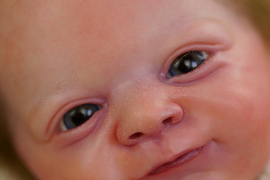 Woodland Elf Flynn By Phphilias Reborns Reborns Com