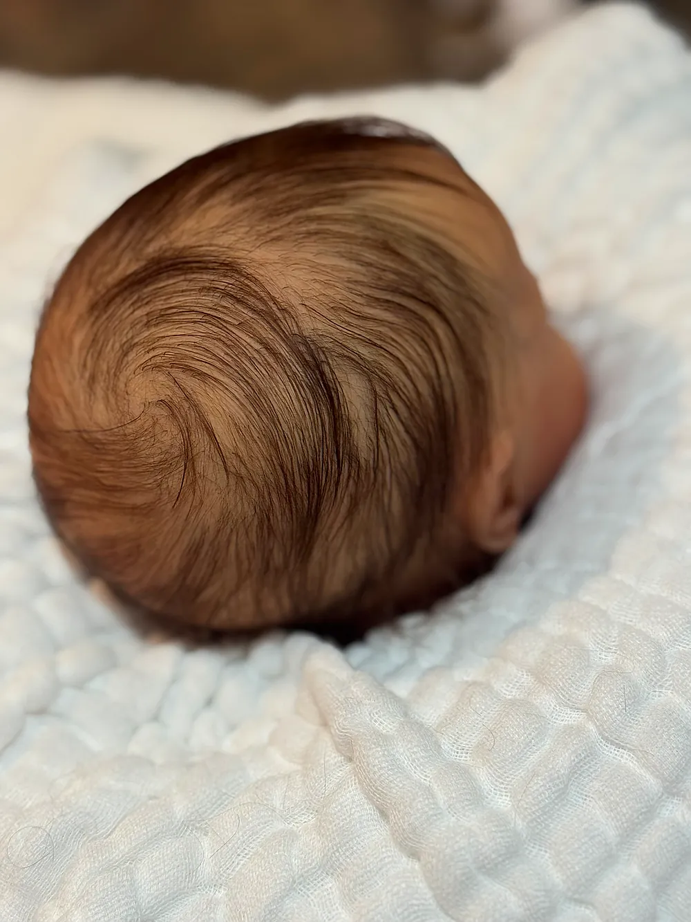 リボーンドール ESENIA Esenia Reborn Baby Doll by Kimberly D. Ortego | Lil Toes Reborns