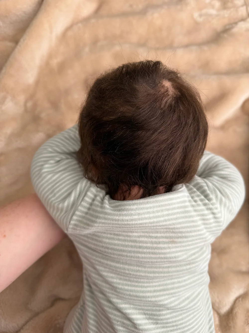 Jude Pre-owned Reborn Baby Doll by Real Or Reborn | Lolo's Littles