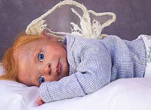 Reborn Dolls and Lifelike Baby Dolls