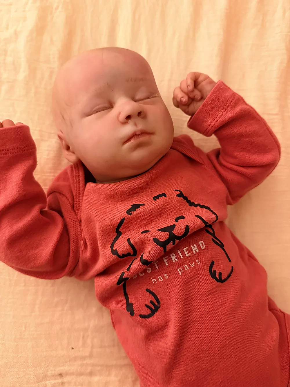 Marnie Sleeping Pre-owned Reborn Baby Doll by Abbigail Shupe