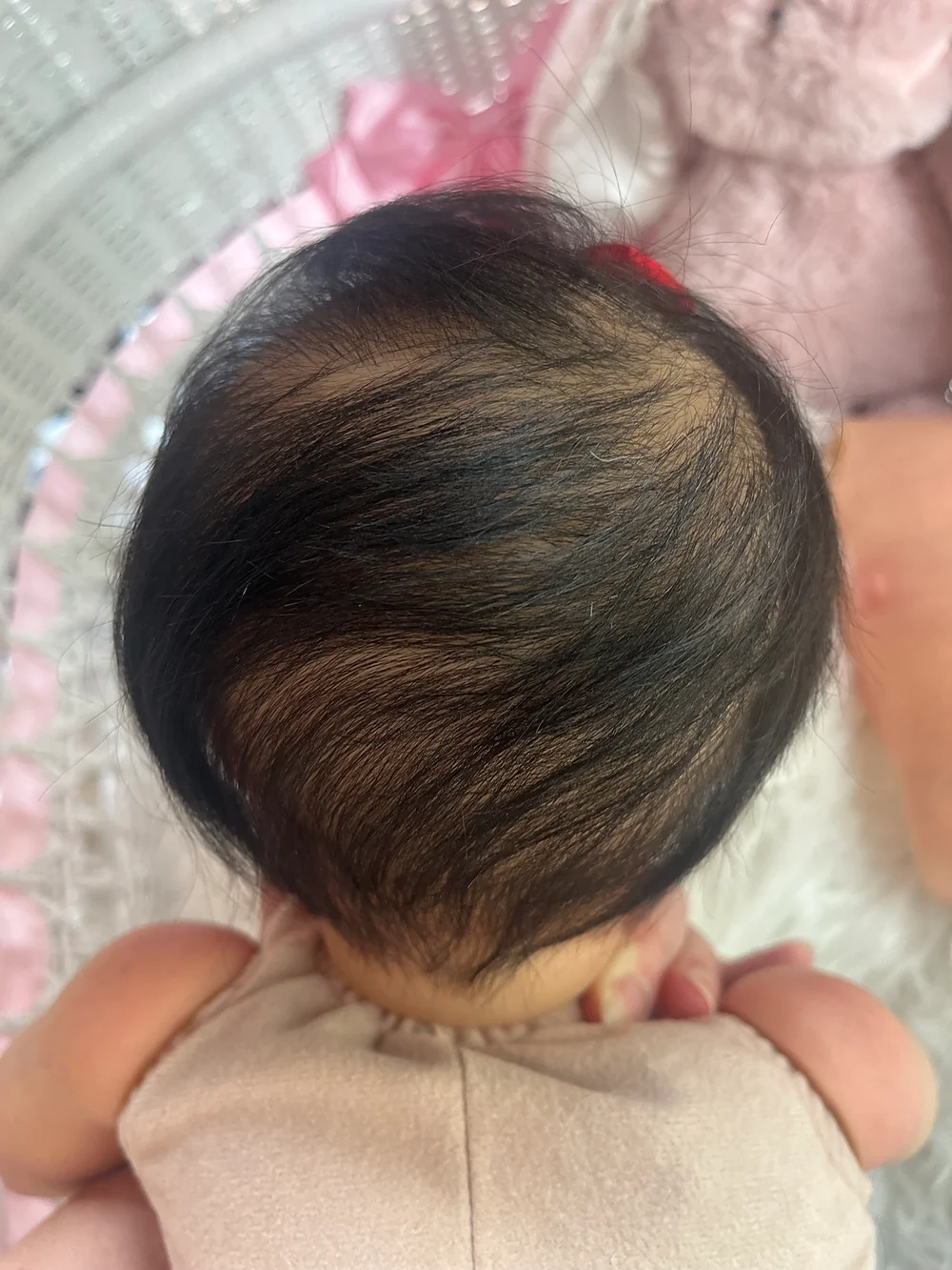 Ashia Reborn Baby Doll by Abigail Wood | Southern Baby In Bloom