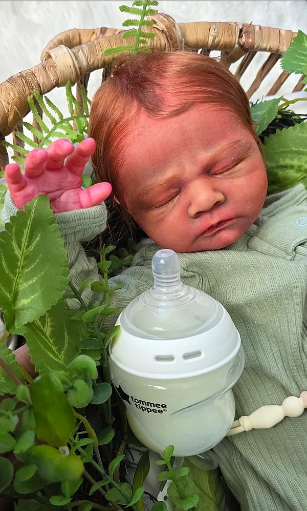 Reborn Dolls and Lifelike Baby Dolls