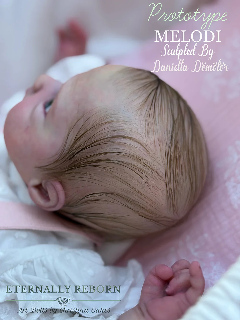 Melodi Prototype Reborn Baby Doll by Christina Oakes | Eternally