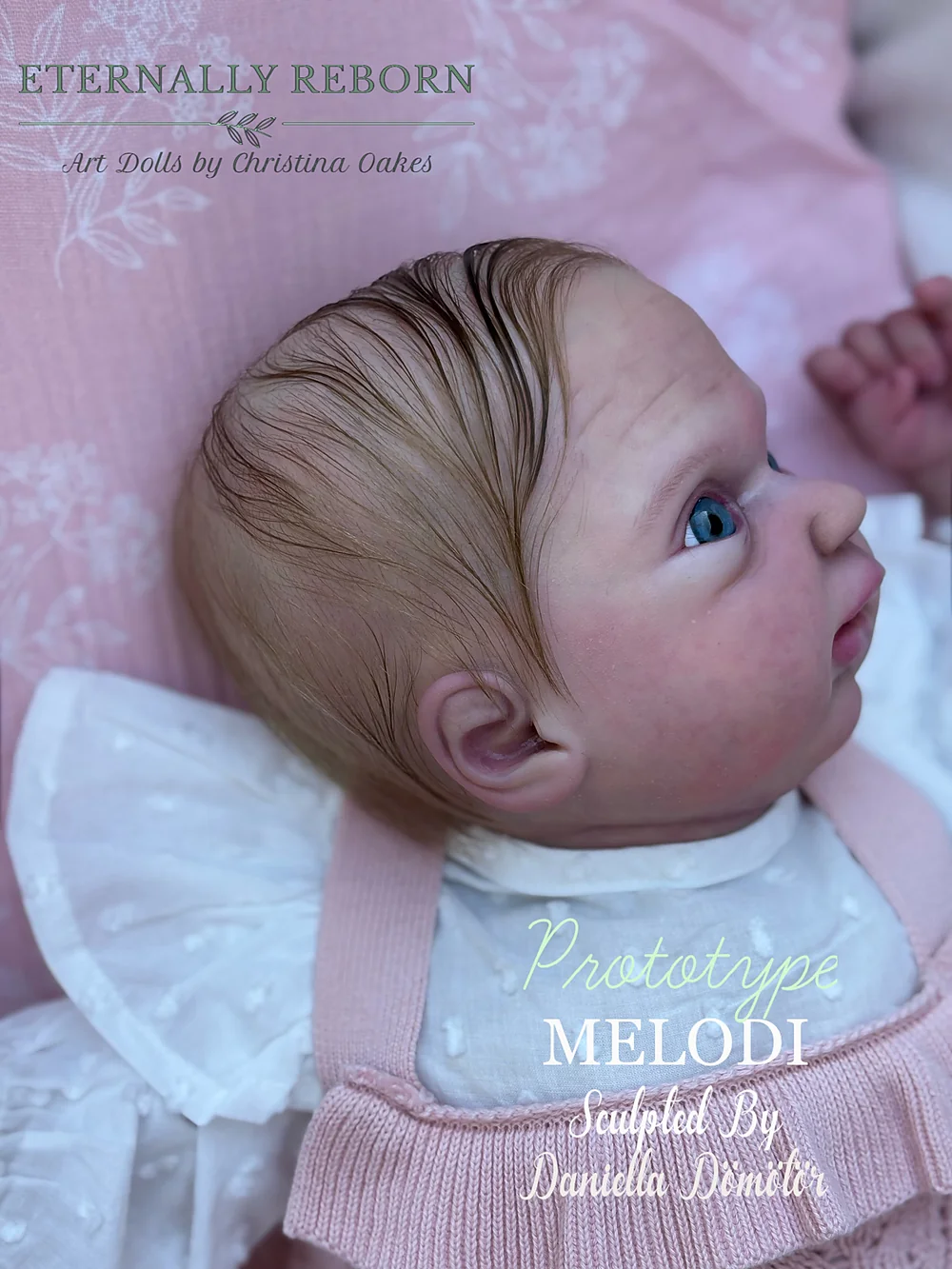 Melodi Prototype Reborn Baby Doll by Christina Oakes | Eternally