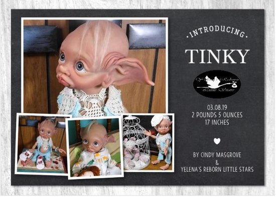 tinky reborn kit