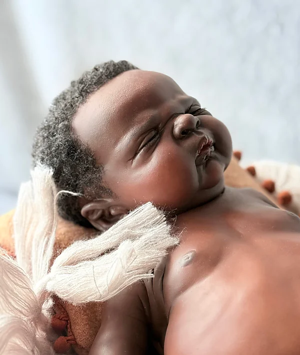 Reborn Dolls and Lifelike Baby Dolls