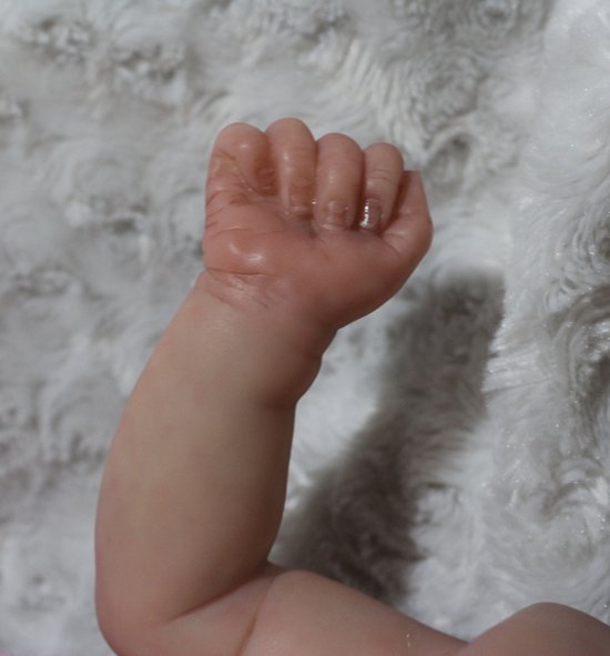 Charlotte LE signed by Pocket Full of Posies reborn n from Pocket Full