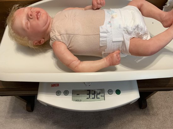 Real Leif Sleeping Reborn Baby Doll by Sharon Elizabeth Clarey