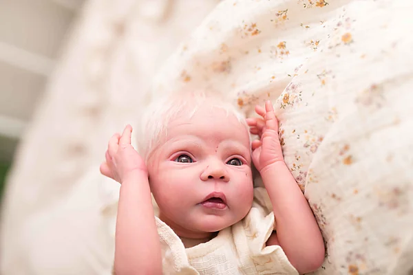 Zeke Reborn Baby Doll by Jayk Kearns | Jaykob Art Dolls